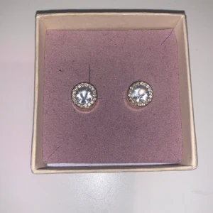 Ett par örhängen  - Super fina och när jag köote den kosta dem 800 kr sänker priset till 500 men priset går att prata om ändå 