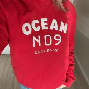 Säljer denna fina hoodien från redgreen för att den tyvärr inte kommer till användning. 