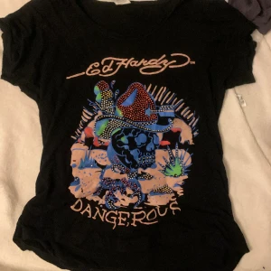 Ed Hardy tshirt - Ed hardy tröja som är bara använd ett fåtal gånger. Är dock köpt secondhand.