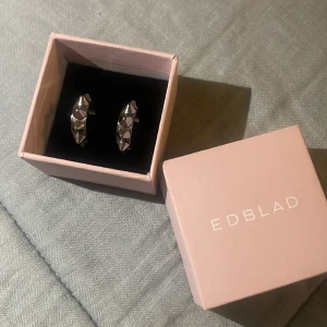 Örhängen från Edblad 🤩 - Super snygga Edblad örhängen i silver❤️ 249 kr + Frakt😊