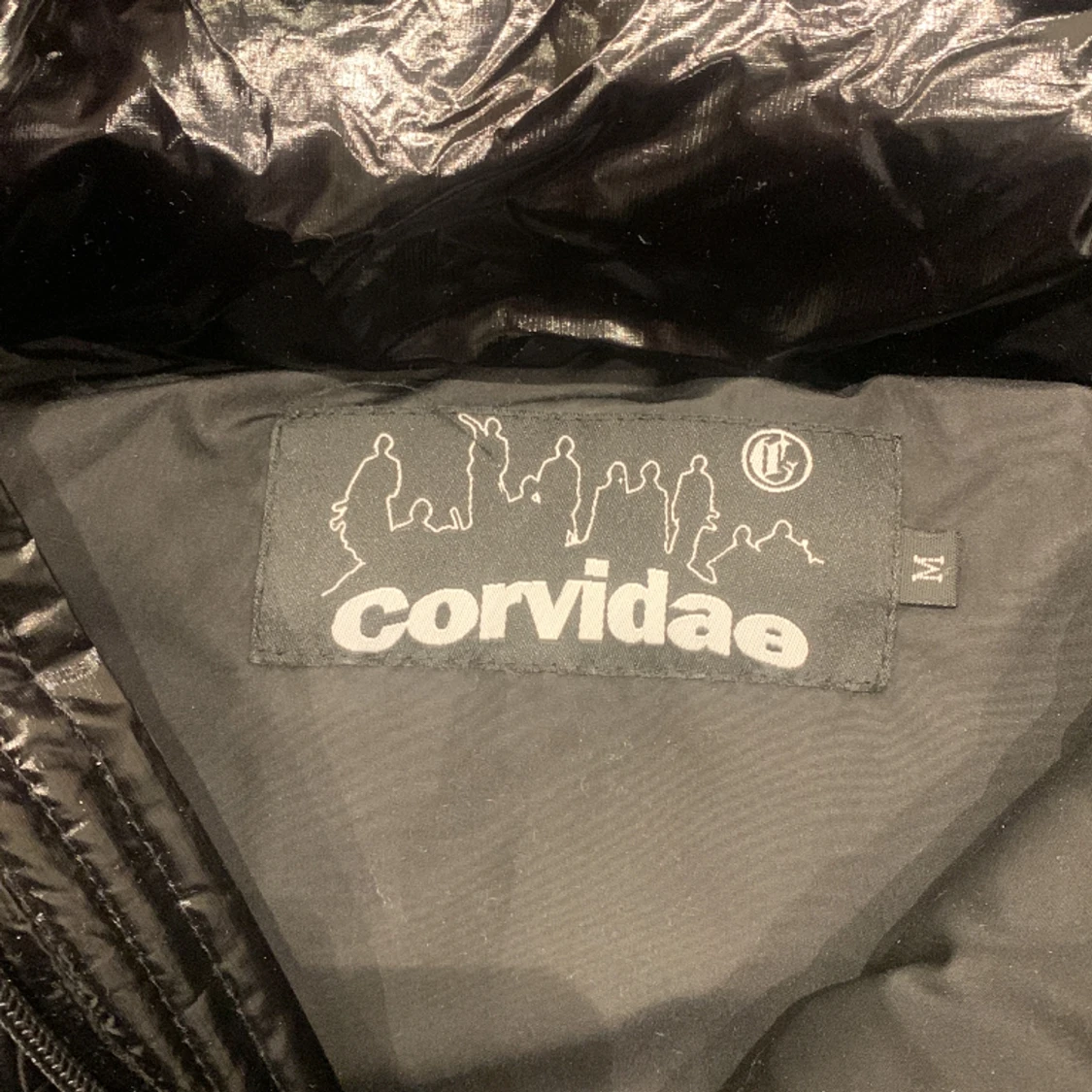 Svart glossy corvidae puffer - 2