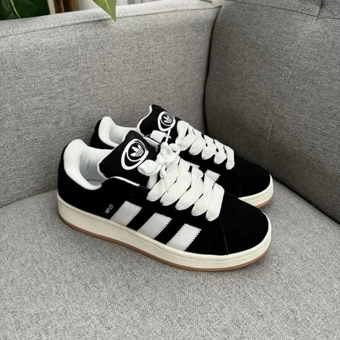 Adidas Campus 00