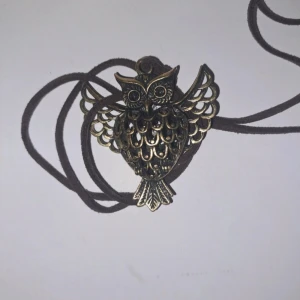 Halsband med uggla - Ett halsband med uggla på, det är tråd som band runt halsen