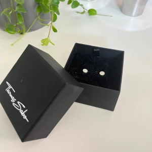 Tomas Sabo örhängen  - Fick i present men guld passar mig bättre, nypris 550kr! Kan behövas putsas men de har inga defekter❤️ 