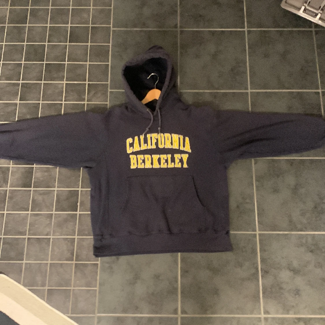 Vintage champion hoddie
