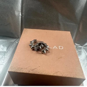 Edblad öronhänge - Säljer mina rätt så nya edblad öronhängen i silver eftersom jag inte får användning av dem längre. Jätte gulliga 💞   (Lånade bilder) 