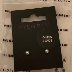 Oanvända pärlörhängen från pilgrim - Säljer dessa supersöta pärlörhängen med gulddetaljer från Pilgrim. ”Plastpluttarna” har alltid suttit på och endast plastpåsen är öpnnad och den finns kvar. Aldrig provade💗Hör gärna av dig om du har frågor! 