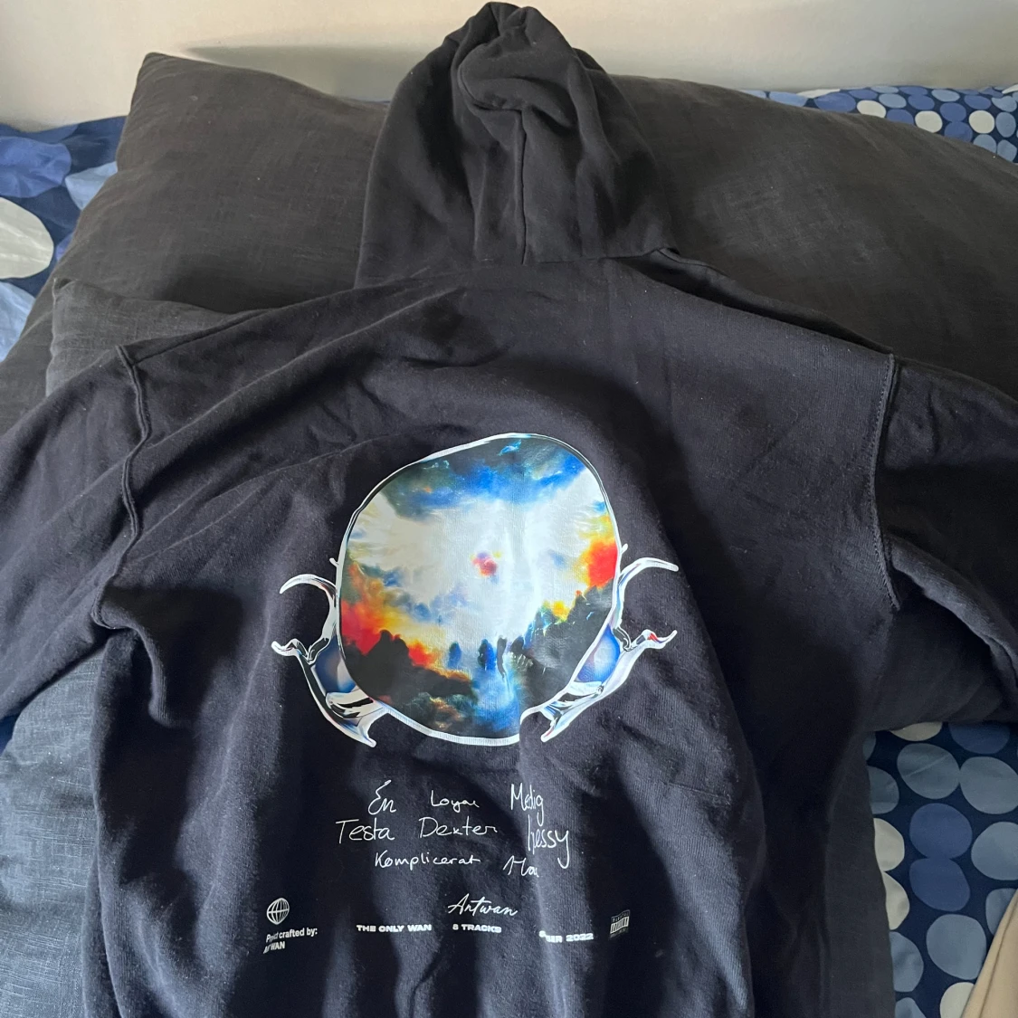 Ant Wan hoodie storlek M - 90