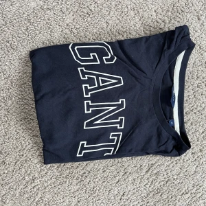 Gant tröja  - En fin gant tröja som inte kommer till användning längre 