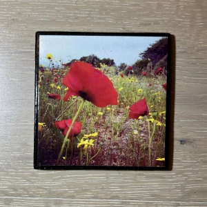 Dekoration från Sardinien - En gullig liten dekoration med röda blommor på! Som en liten platta eller tavla man kan ställa upp. Handgjord och såld på gatorna av Sardinien☺️