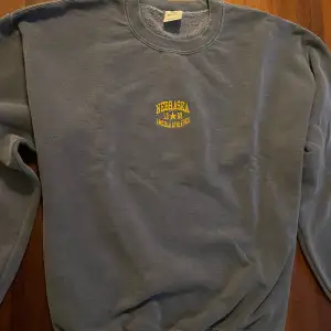 Hej, jag säljer en lila/blå sweatshirt från Urban Outfitters. Tröjan är i bra skick och i storlek M. Den är rätt stor för sin storlek 