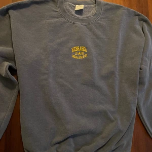 Sweatshirt Urban Outfitters - Hej, jag säljer en lila/blå sweatshirt från Urban Outfitters. Tröjan är i bra skick och i storlek M. Den är rätt stor för sin storlek 