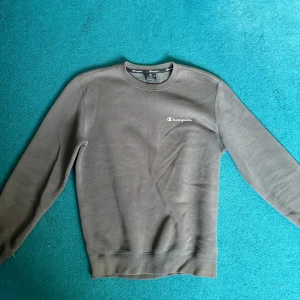 Champion tröja grå - Nyskick, Grå, S