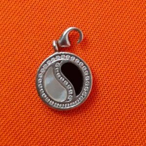 Charm - Charm från Thomas Sabo, spännet är trasigt men går ju att byta.