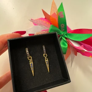 Örhängen l8 Hasselblad  - Örhängen l8 Hasselblad. Fint skick. 