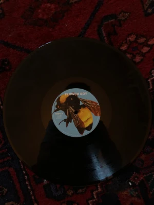 Flowerboy tyler the creator  - Flowerboy by tyler the creator is a great album and this vinyl is basically untoched we may higher the price soon so by it quickly 
