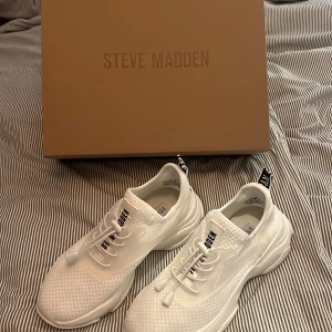 STEVE MADDEN - Sneakers - Säljer mina splittnya Steve Madden sneakers pga försmå.  Strl 38 men väldigt små i storleken så skulle säga strl 37. Helt oanvända, enbart provat dom. Nypris: 1149 