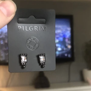 Pilgrim silver/svarta öronhängen - OANVÄNDA pilgrim öronhängen med lyxig design. Original pris är 150kr säljer för 75kr! Priset går alltid att diskutera 