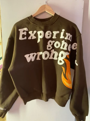 Broken Planet sweatshirt  - Broke planet sweatshirt i brun, storlek S  Aldrig använd Den har hängt i min garderob i 1.5 år och aldrig sett dagljus.  Pris går att diskutera! :)