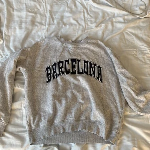 Grå tröja  - Säljer en tröja från H&M som är använd några gånger. 