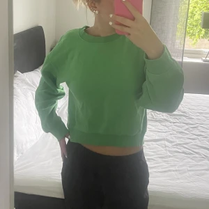 grön sweatshirt från zara - endast använd fåtal gånger