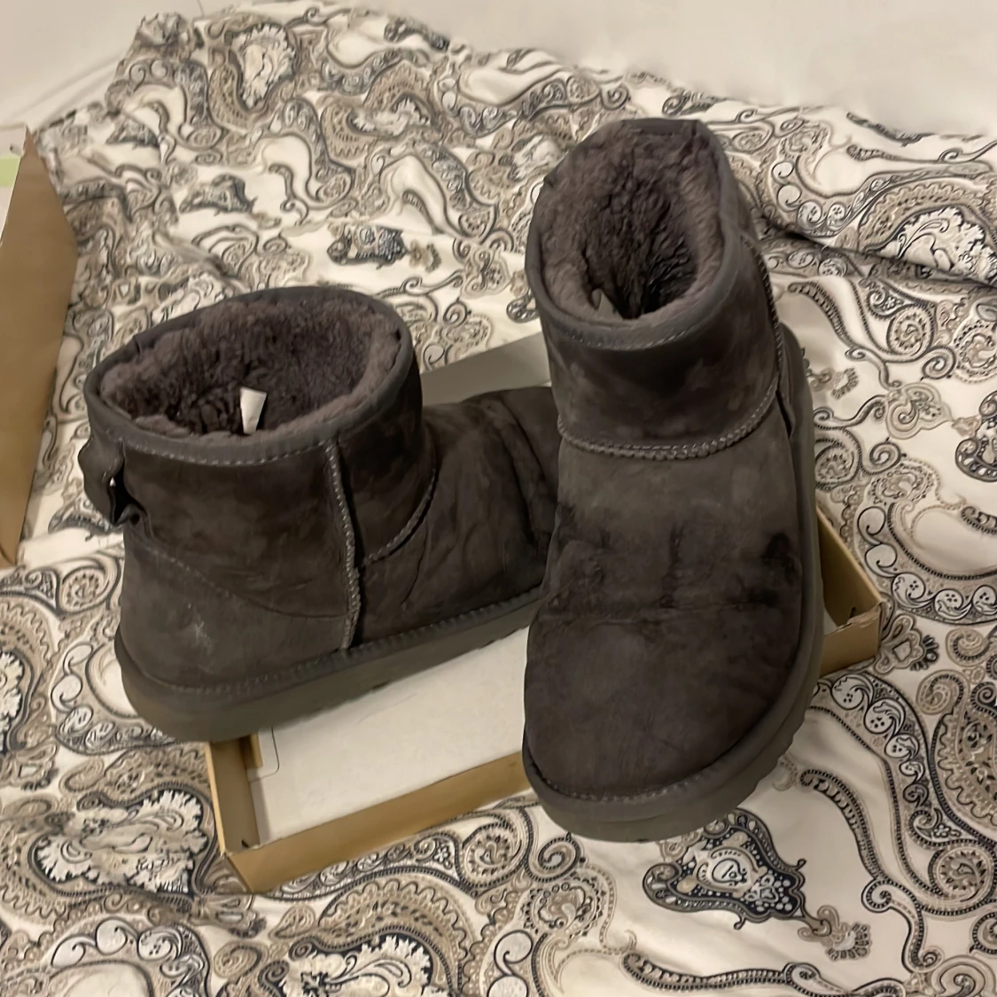 Lawrence Grey UGS  - 91