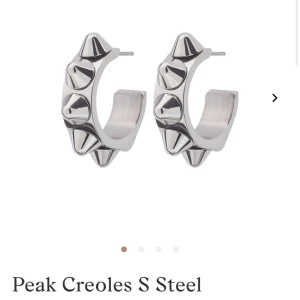 Edblad örhängen  - Använda men i fint skick