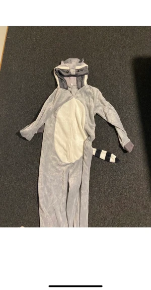 Tvättbjörn - Från lindex