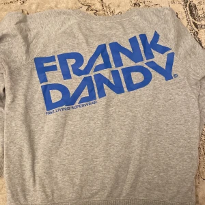 Frank Dandy sweatshirt - Grå sweatshirt storlek L men passar S. 