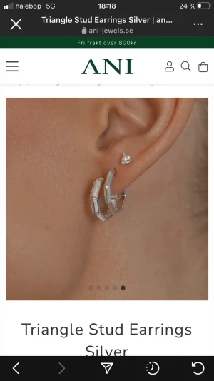 Ani örhängen - Säljer dom små örhängena. Helt oanvända 250kr. Kan ta egna bilder , pma vid intresse 