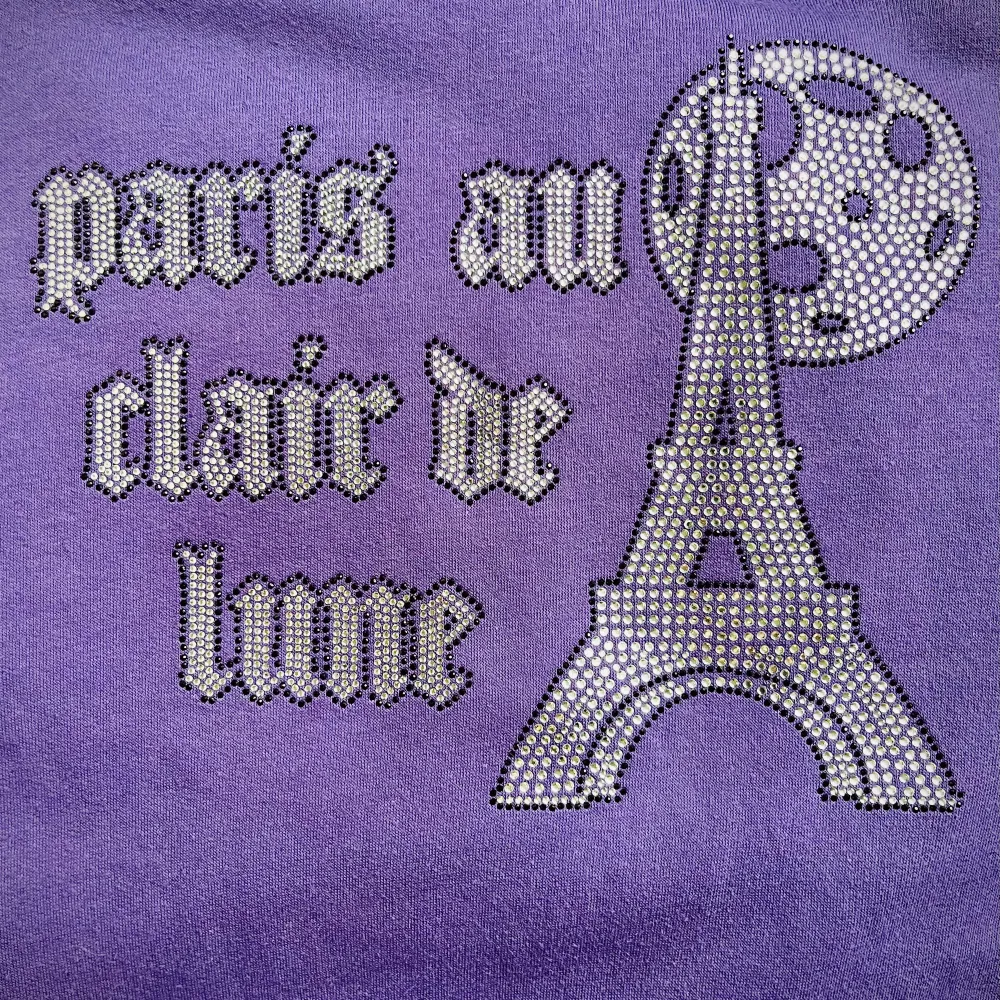 Lila hoodie från märket Blinglucid med trycket ”Paris au clair de lune”. Hoodien är i bra skick men lite stor för mig därför valt att sälja. Ny pris 699 kr, hoodien är i storlek M (medium).. Hoodies.