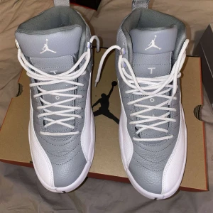 Jordan 12 stealth  - Säljer dessa jordan 12 stealth  Skick 7/10  Storlek 43