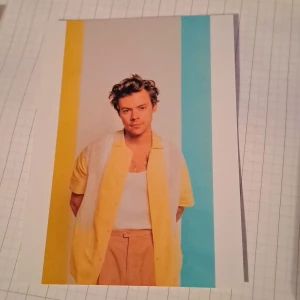 Bild Harry Styles  - Till inredning. Vid funderingar skicka gärna pm. Pris är diskuterbart. 💖😊