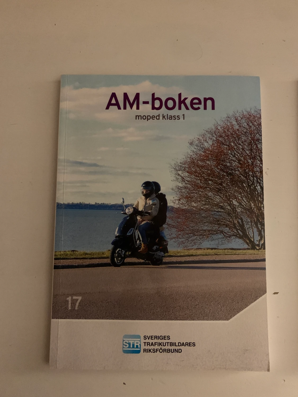 Moped körkort (AM böcker)  - 90