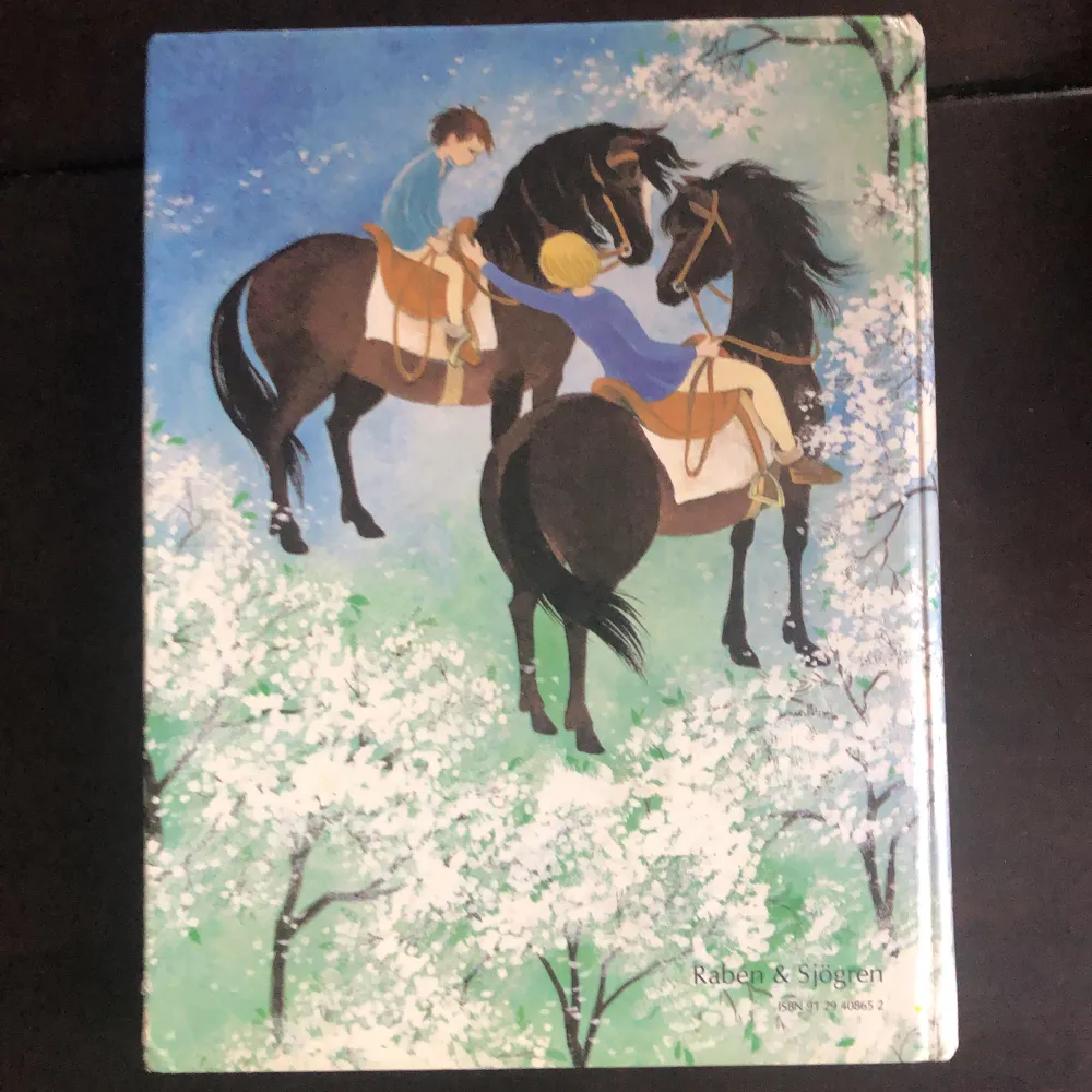 Klassisk bok av Astrid Lindgren ”Bröderna Lejonhjärta” ❤️ jättebra skick. Övrigt.