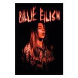 Billie eilish poster (oanvänd) - Helt nyskick ouppackad! Säljer för jag fick två :) 