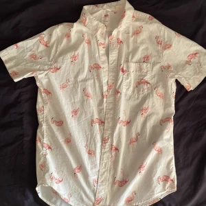 Levis skjorta - Använder aldrig