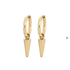 Edblad Peak Örhängen - Säljer dessa örhängen då jag glömde lämna tillbaka. Ej använda. Originalpris 349kr