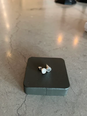 Örhängen Armani  - Silverörhängen från Armani