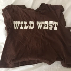 Wild west tröja  - Säljer denna brunna tröja med trycket wild west då den inte kommer till användning längre tröjan e jätte fin i sicket och passar med nästan allt 