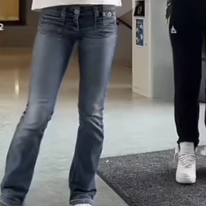 Söker dessa - Söker dessa