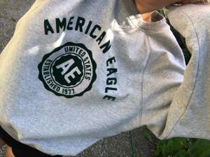 Sweatshirt från American Eagle. Köpt i usa och använd ett fåtal gånger, så väldigt fint skick! Texten är i mörkgrön sammet.