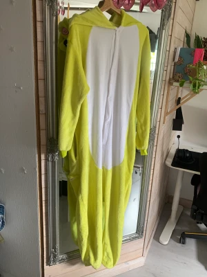 frog suit  - frog suit use/good condition. Fluffy and have sipper in the back 