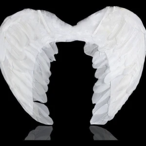 Änglavingar Fjärdervingar  - Stlk 40*35cm , 139kr/st 55*40cm, 179kr/st 