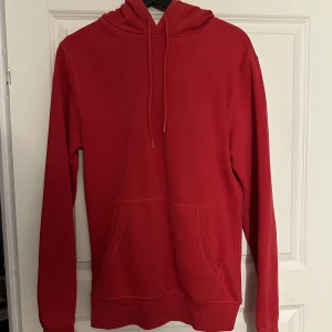 Hoodie - Jättefin längre hoodie, kan vara killmodell, osäker. Storlek S
