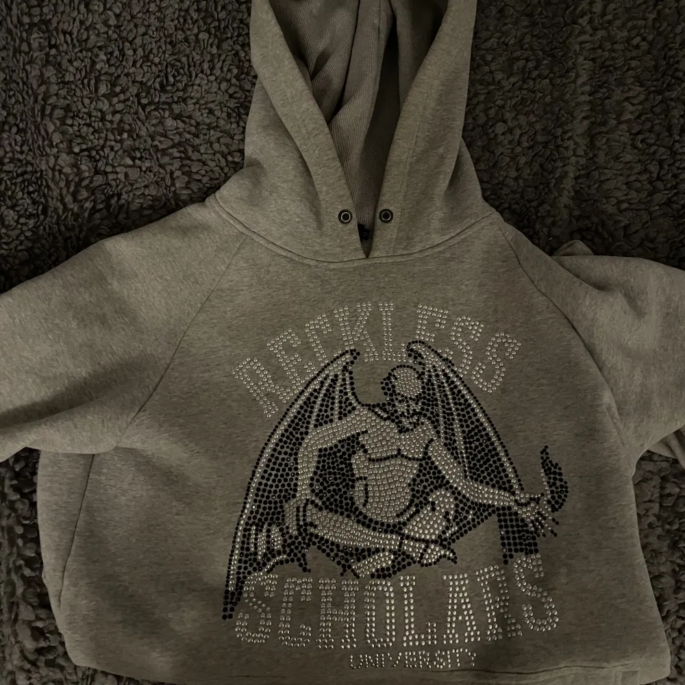 Säljer denna Reckless Scholars rhinestone hoodien jag köpte på en popup butik något år sen för 2200kr. Den har använts sparsamt och är riktigt varm, vilket är perfekt nu till vintern.. Hoodies.