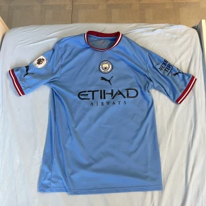 Manchester city T-shirt  - Storlek- S  Har används ett par gånger  Köpt för 500