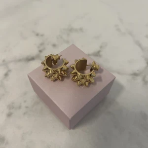 Edblad örhängen - Säljer dessa Edblad örhängen i guld. Dom är använda 2 gånger så är som nya! Nypris är 500kr så säljer för 350kr🩷 asken följer ej med☺️(Använder ej köp nu)