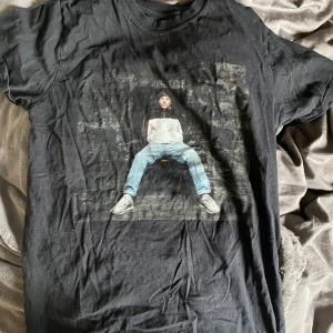 louis tomlinsson tröja - en louis tomlinsson tröja som jag köpt på Bengans, den är i fint skick, behöver bara tvättas och strykas, vilket jag självklart gör innan jag skickar den! är osäker på storlek men jag brukar ha S och den sitter ganska stort på mig, vilket jag gillar!