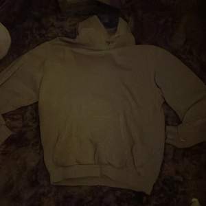 grå hoodie utan tryck från hm, köpt från plick för evigheter sen säljer för använder inte 🤍 skick 5/10, inga fläckar förutom en på vänstra armen men syns knappt, sömmen vid armarna är öppna (skriv för bild)